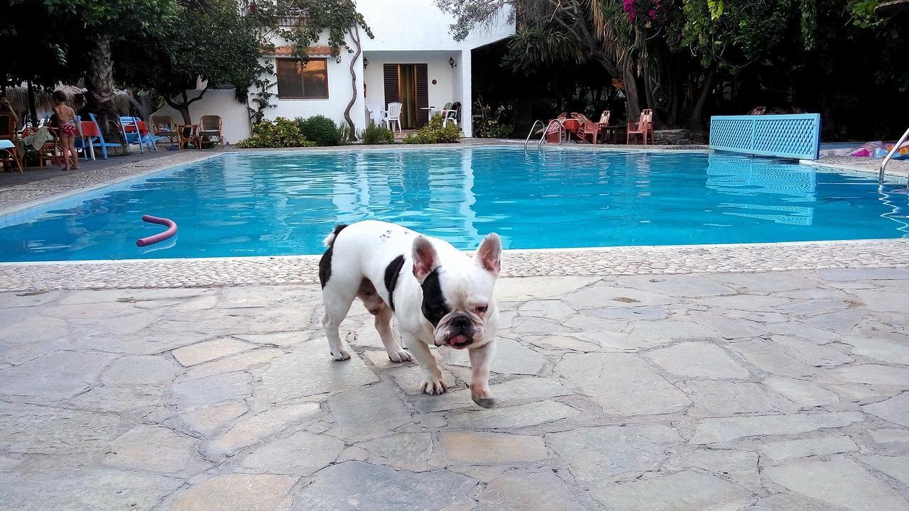 Oasis Hotel Bungalows Rhodes Afantou Dış mekan fotoğraf